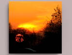 Fotografie na akrylátovém skle - Západ slunce 50 x 50 cm