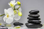 Autorská fotografie -Lávové kameny s květy ( 60x40 cm, s ochranou laminací a rámem Nielsen )